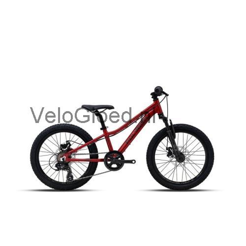 Polygon Relic 20 specificaties en beoordelingen